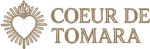logo classique vidé couleur ok