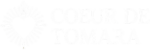 logo classique vidé blanc parfait